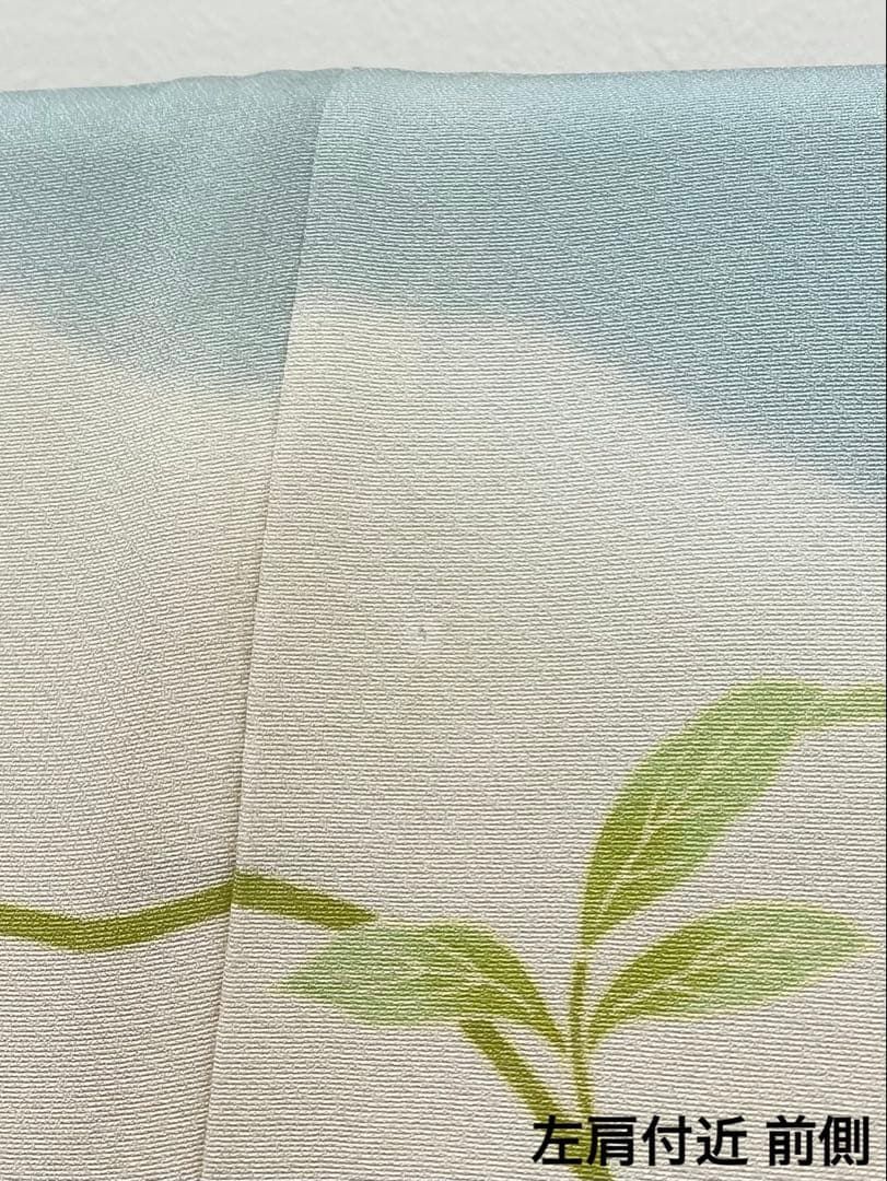 京友禅 桐壺 菱健 訪問着 金駒 金彩 ぼかし染め 雪輪 唐花文様 正絹 躾