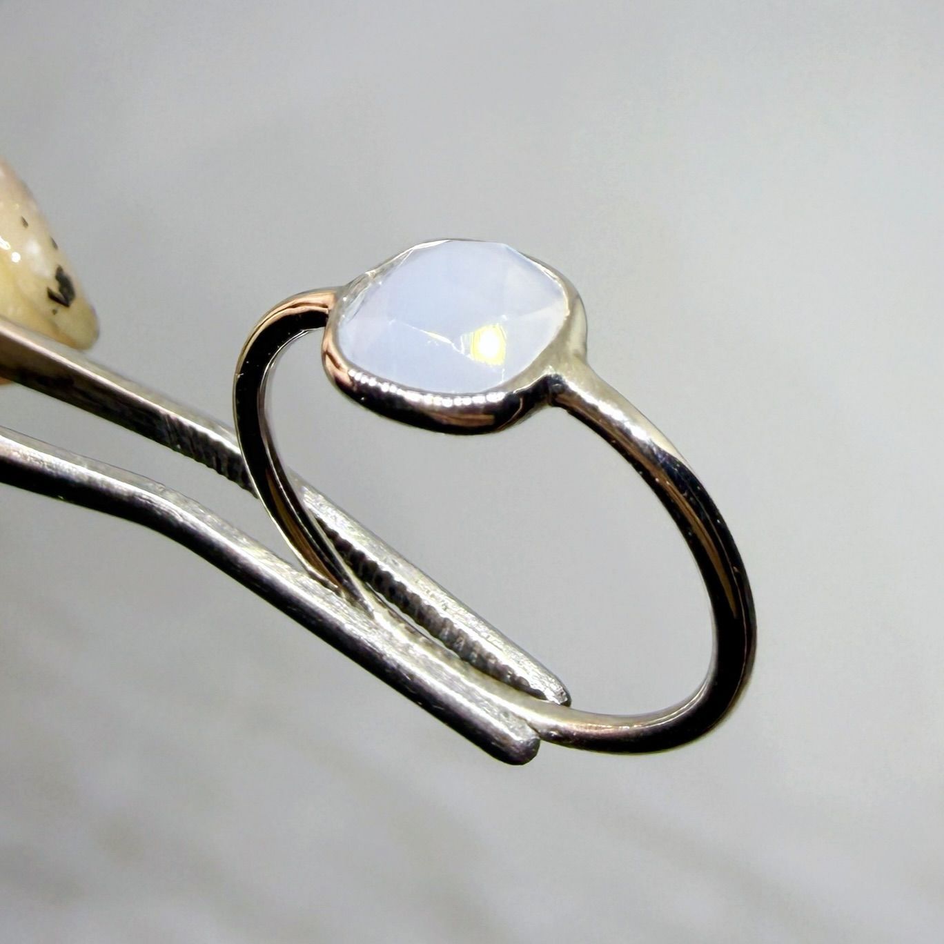 関東露地OK。巨大苗210cm.ドワーフ・キングナムワ◇耐寒性最強 鉢植可