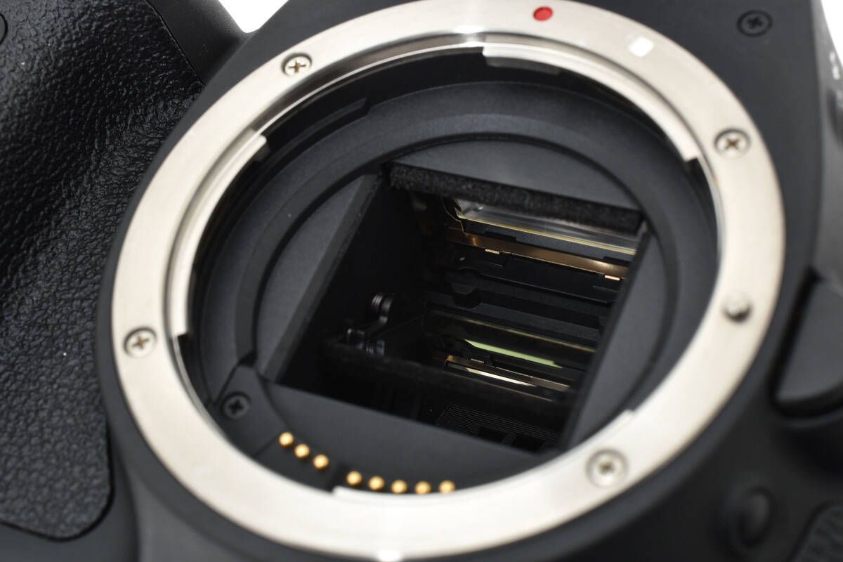 ☆美品☆キャノン Canon EOS Kiss X5 ボディ シャッター数2054回