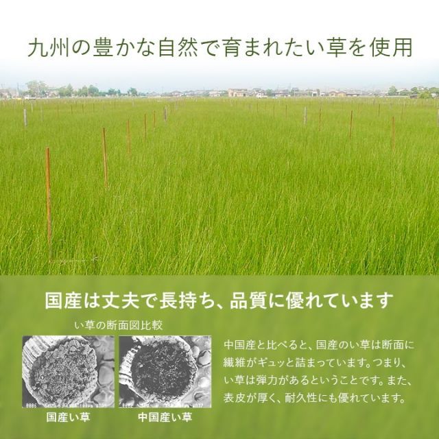 置き畳 半畳 国産 い草 簡単 和室 約82×82cm 12枚組