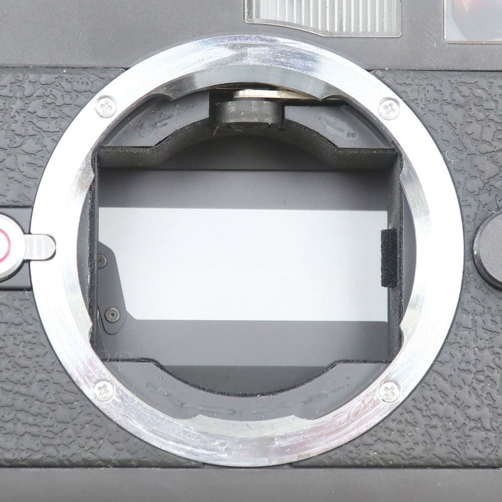 werra ヴェラ Tessa 50/2.8 緑 専用ケース付き カメラ ヴェラ (カメラ