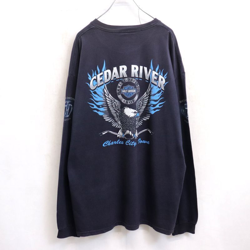 00s USA製 HARLEY DAVIDSON Hanes 袖プリント イーグル フレイム 長袖 