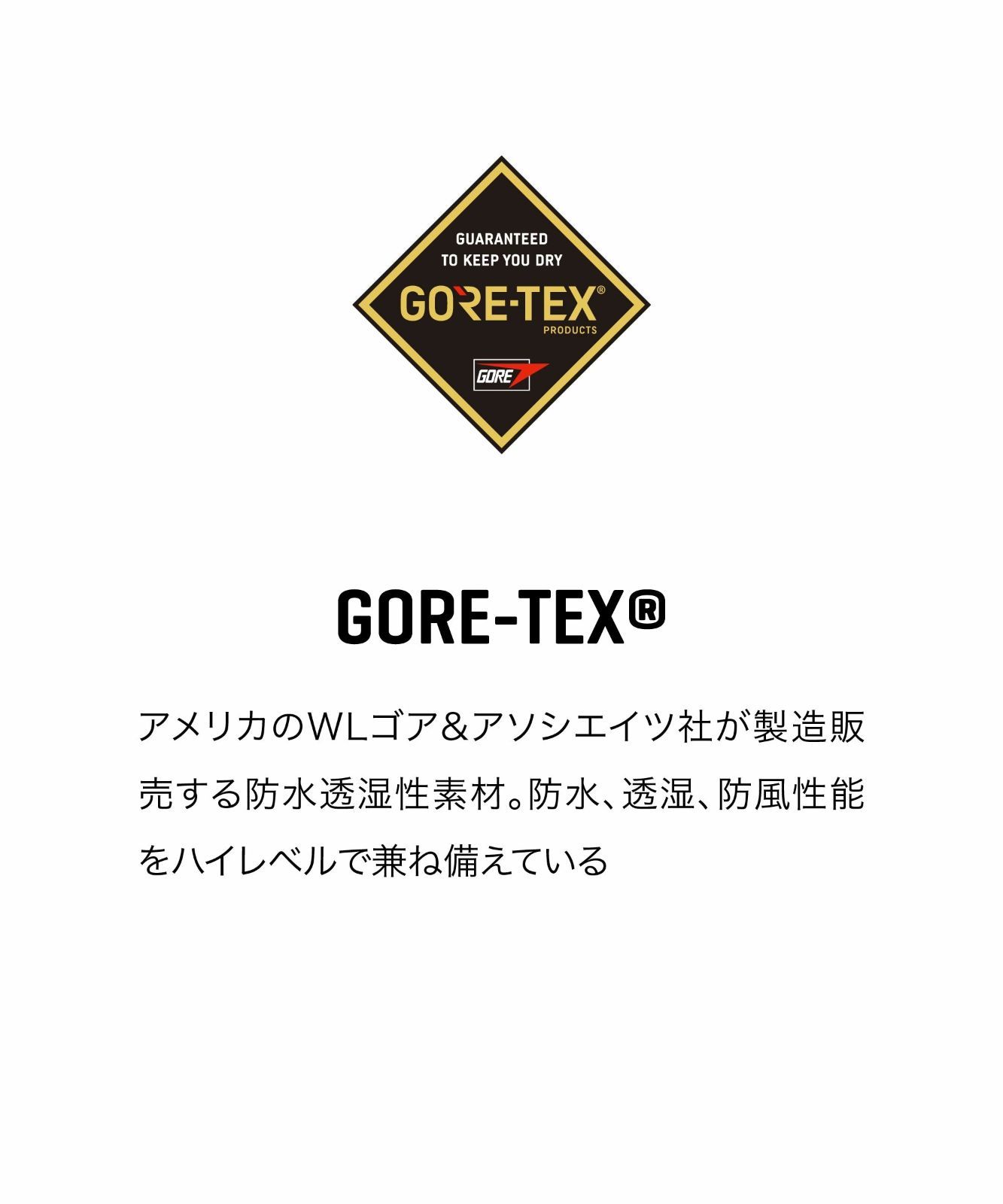  2025 2026 DAKINE ダカイン TITAN GORE-TEX MITTS スノーグローブ BLK メンズ グローブ スキー スノーボードアクセサリー