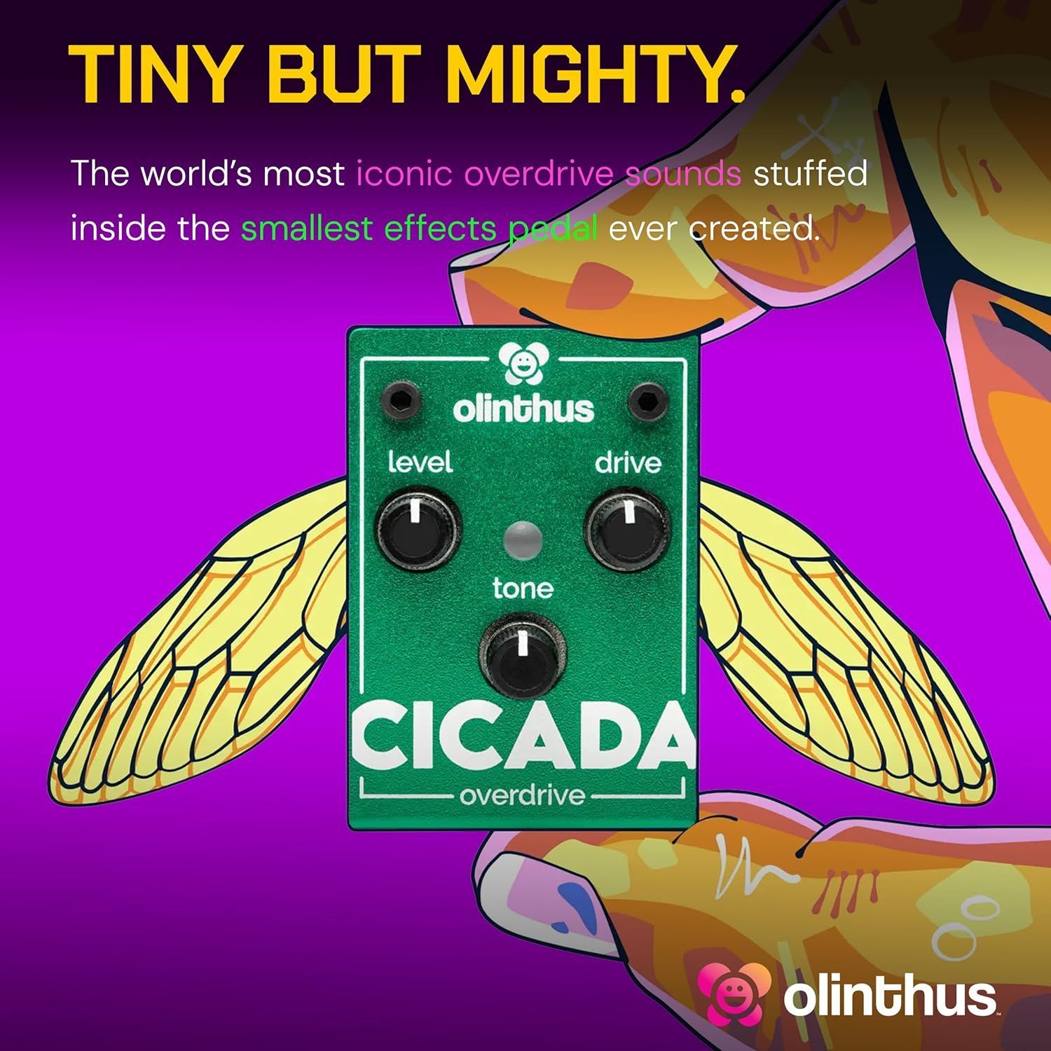 Olinthus オリンサス エフェクター オーバードライブ Cicada [入出力用