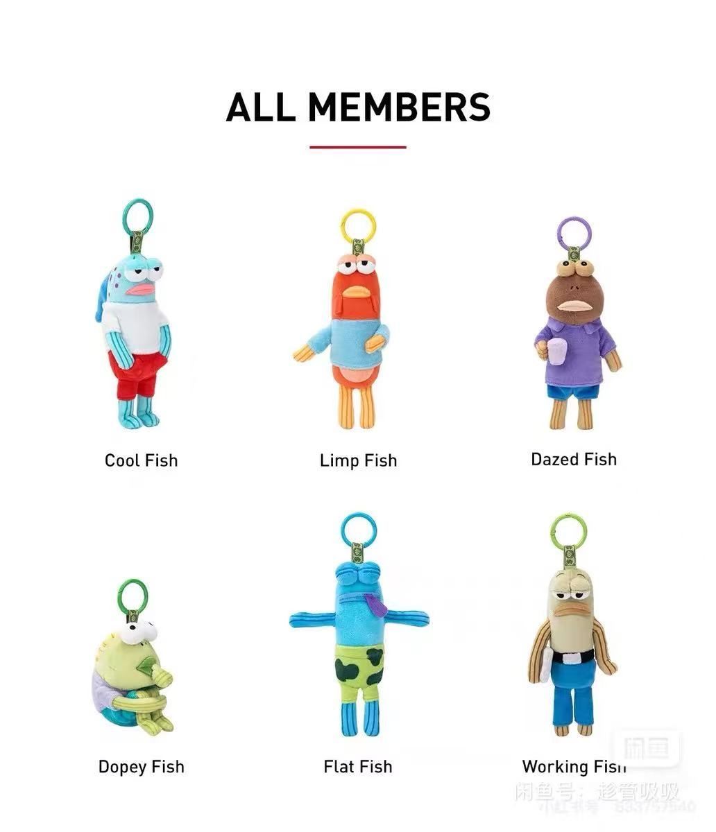 ビキニボトムバディーズ アソート シュリンク付き ビキニボトム