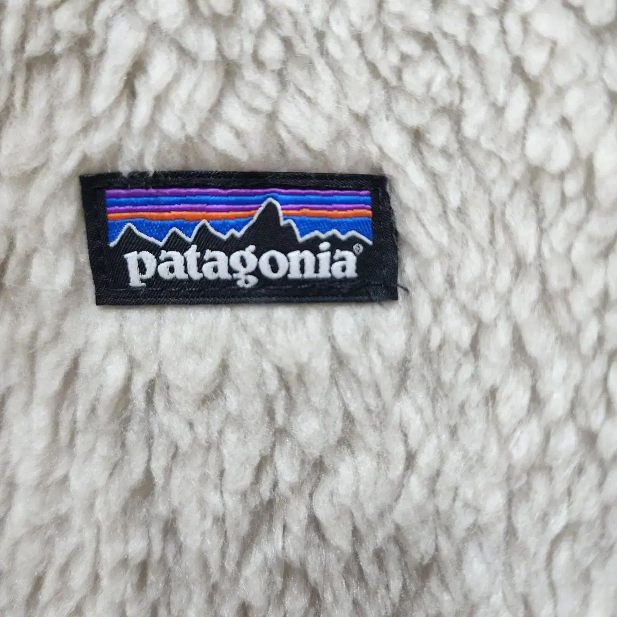 patagonia
