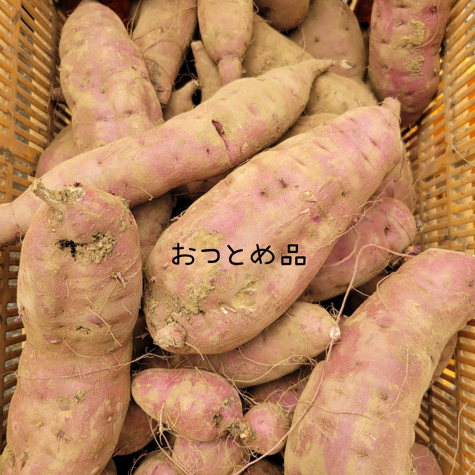 おつとめ品】紅はるか 10kg 茨城県産 さつまいも - メルカリ