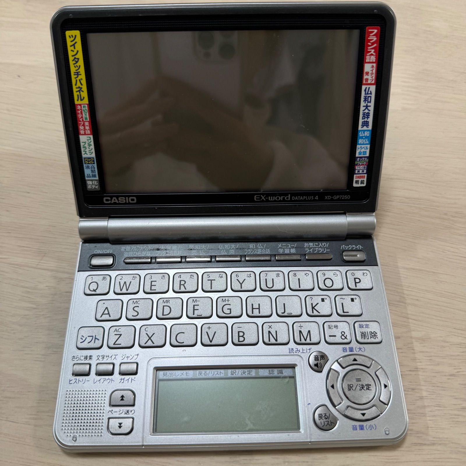 ビカクシダ シルバーベルベット フーンシキ 親株