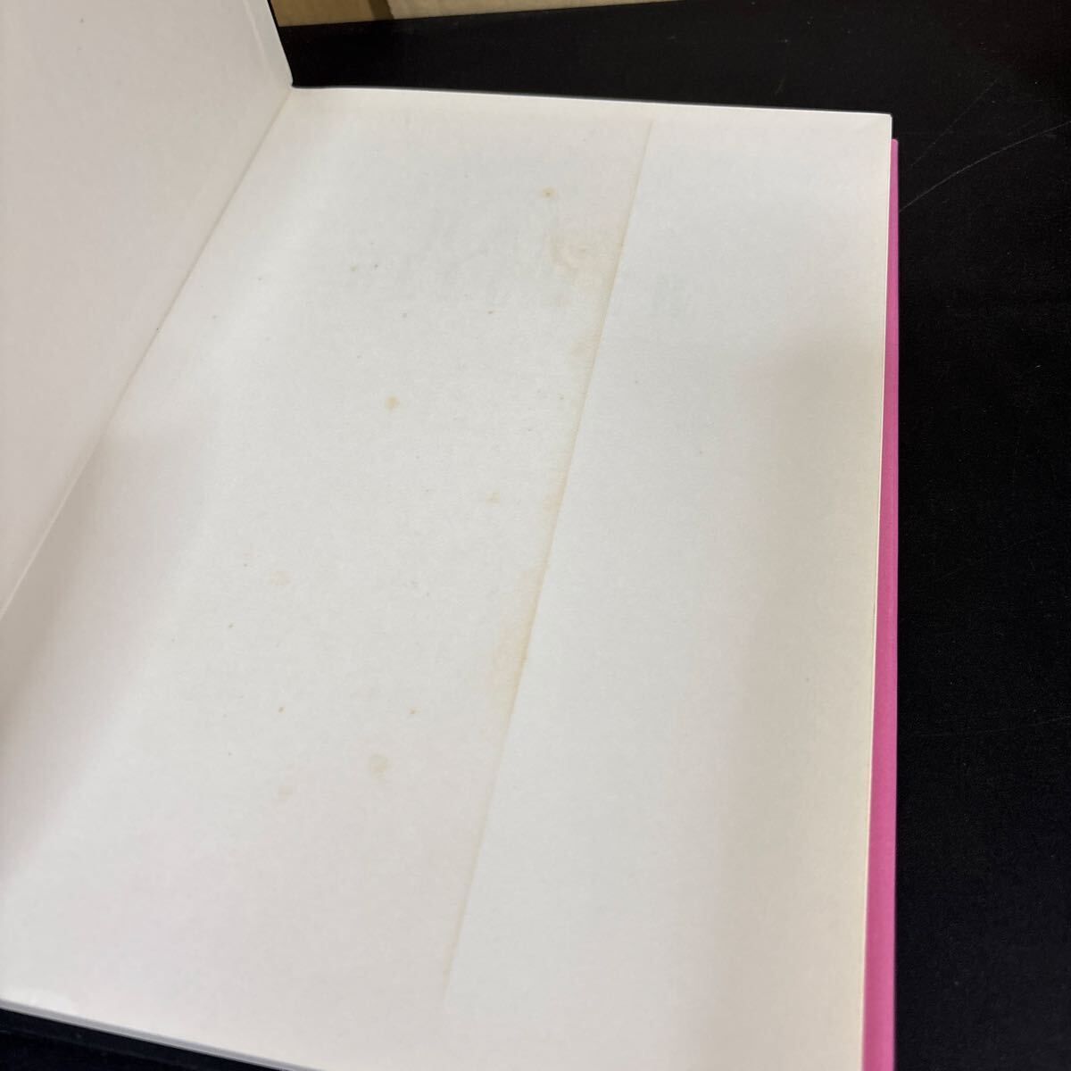 Hans Bellmer photographe ハンス・ベルメール写真集』洋書 フランス語