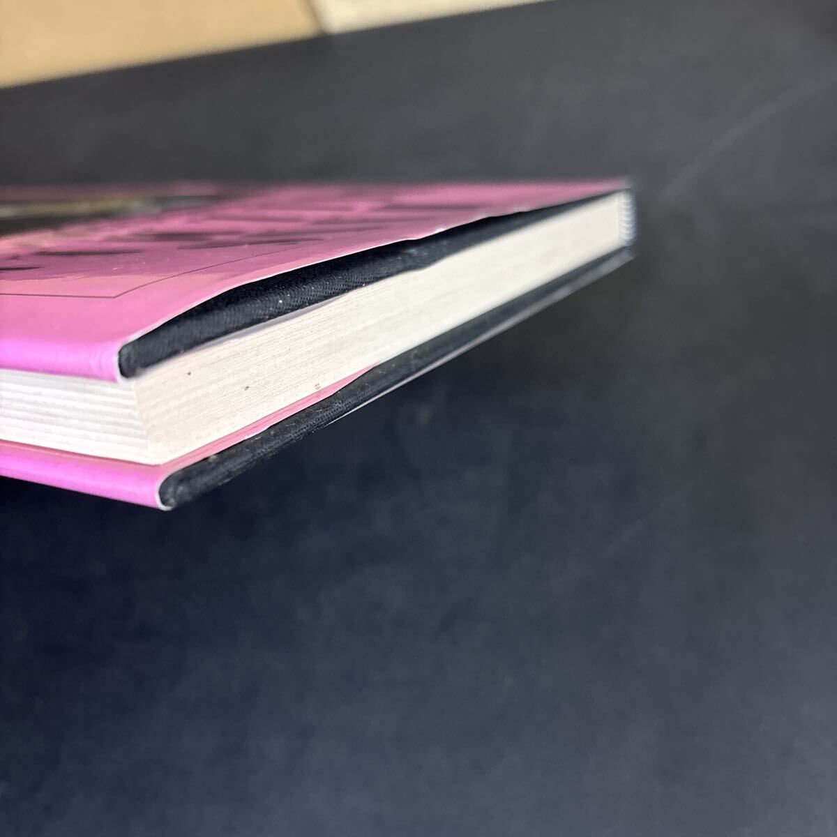 Hans Bellmer photographe ハンス・ベルメール写真集』洋書 フランス語