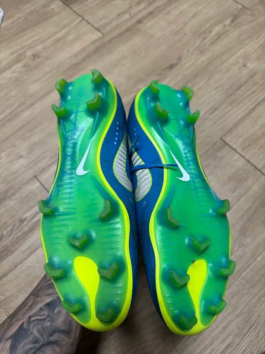 シグネチャー 260