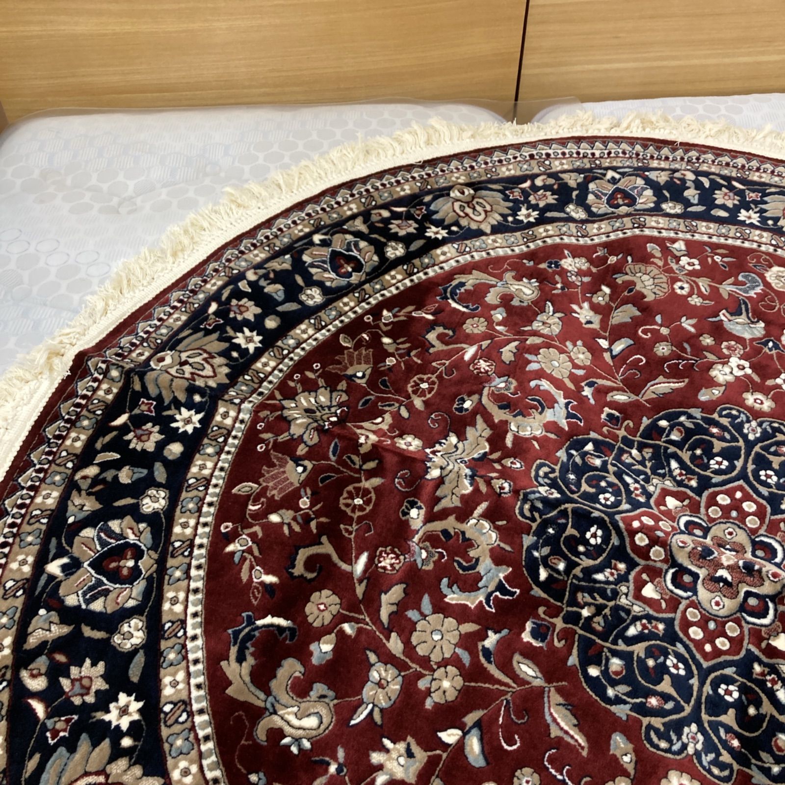 S267 大恒リビング ドーム型カーペット 絨毯 じゅうたん 直径180cm