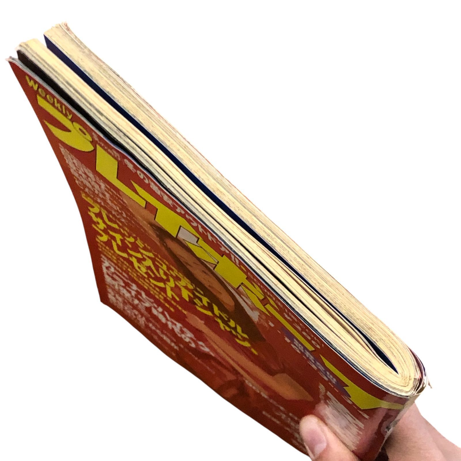 プレイボーイ 1996年1月16・23・30日号 安室奈美恵特集 