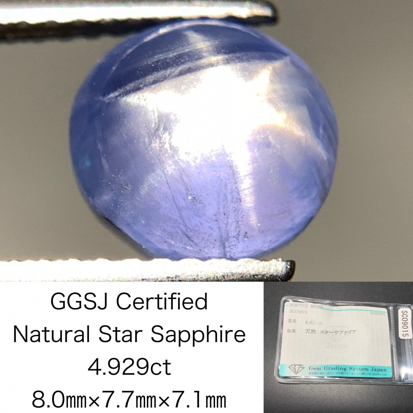 41292438_6