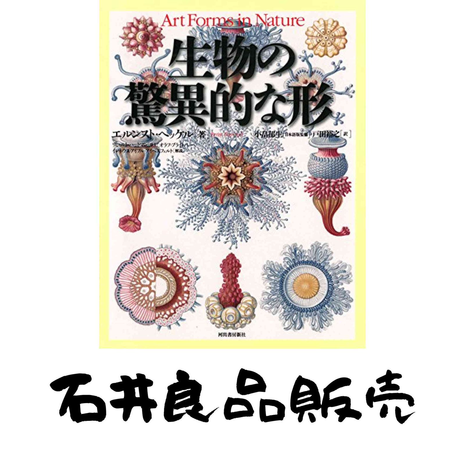 生物の驚異的な形 エルンスト ヘッケル? Haeckel,Ernst; 裕之, 戸田