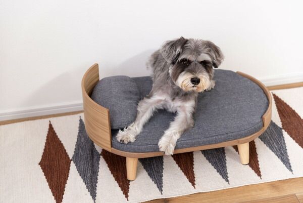 ペットベッド ベッド 楕円 犬用 猫用 ドッグ キャット かわいい おしゃれ シンプル クッション マットレス 枕 マクラ ペット用