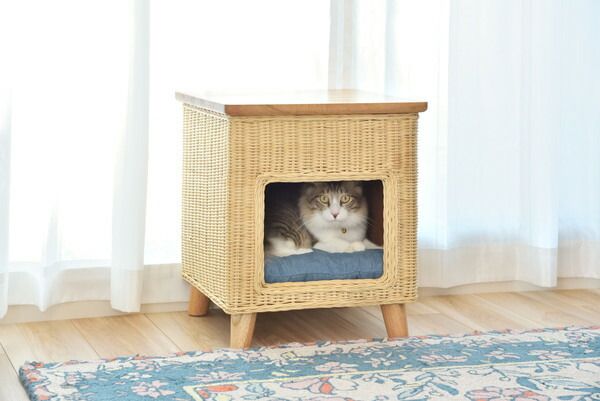 ペットハウススツール スツール テーブル ペットハウス ペットベット 犬 猫 ペット クッション付き 脚付き 天板付き 天然木 木製 ラタン 籐 かわいい 収納 スクエア