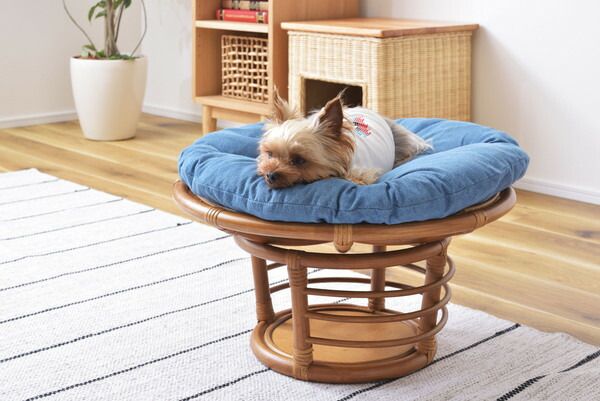 ペットスツール スツール 椅子 チェア ペット イヌ ネコ 犬 猫 クッション ラタン 収納 ゆったり おしゃれ リビング アニマル