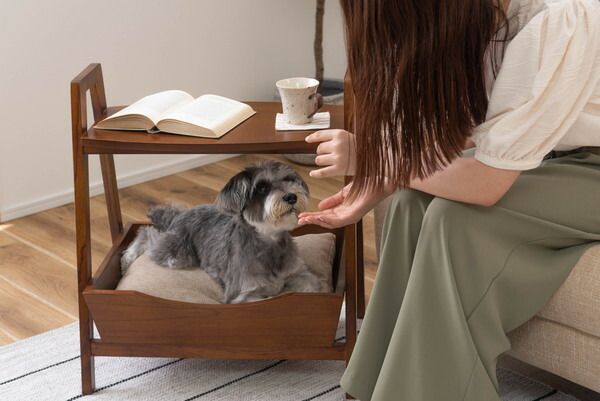 ペットベッドサイドテーブル テーブル ペットベッド ペット 犬 猫 ウサギ シンプル おしゃれ 持ち手 ハンドル クッション付き 木製 天然木 花台 ディスプレイ ナチュラル ブラウン リビング 高さ60 cm