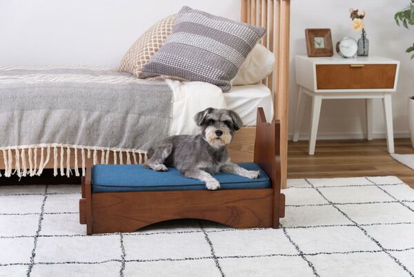 ペットベッド ベッド 犬用 猫用 ドッグ キャット かわいい おしゃれ シンプル 雲 デニム 猫モチーフ 猫型 マットレス ペット用