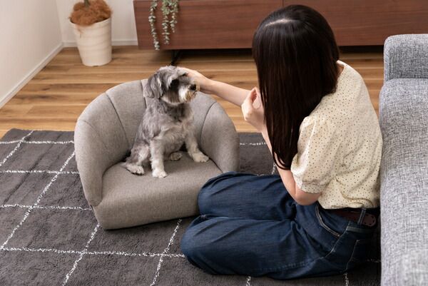 ペットソファ ペットベッド ペット用 ペット用品 ベッド シンプル おしゃれ 北欧 グレー アイボリー ファブリック 布地 コンパクト 軽量 低い 犬 猫 ドッグ キャット