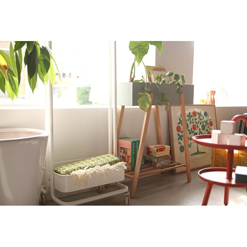 ホワイト グリーン