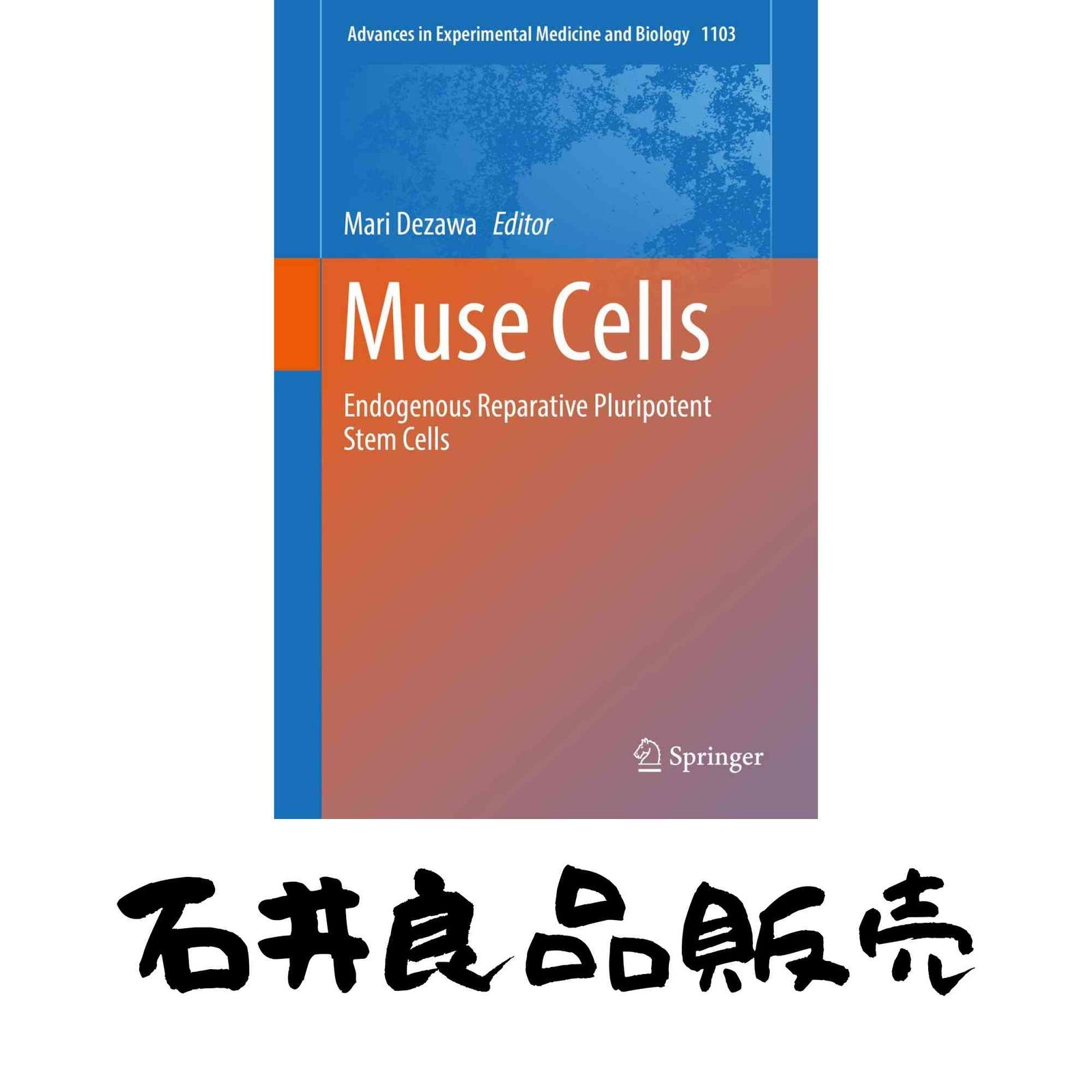 Muse Cells Endogenous Reparative Pluripotent Stem Cells Advances in Experimental Medicine and Biology 1103 ハード