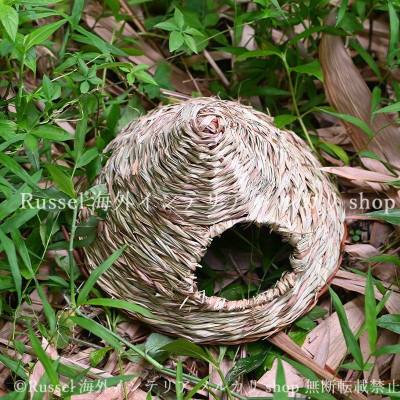 ガーデンオブジェ 鳥の巣 バードウォッチング 野鳥 ガーデン