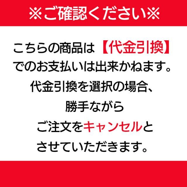  レグルス 自動遮光面 RFS 500 C 代金引換不可 その他 ヤスリ