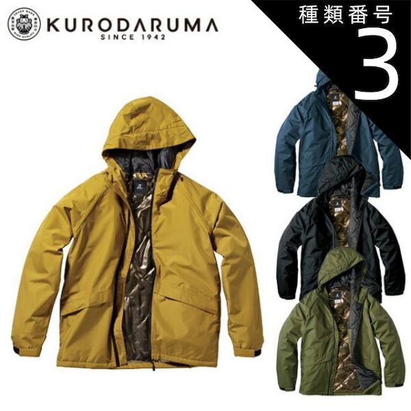 高山 2024 辰雄、春の光、コロタイプ・希少大判画版、新品高級額・額装