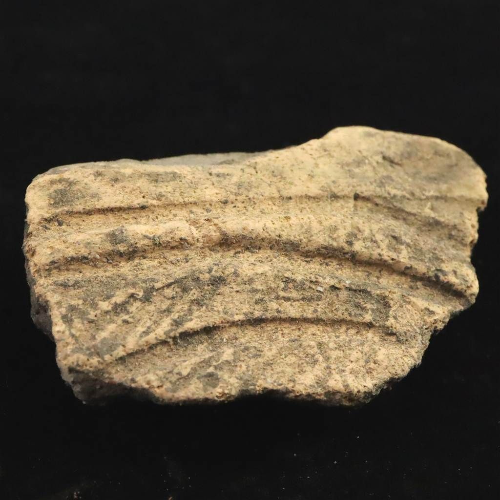 縄文土器 縄文中期 東北・北海道地域 57mm陶片 26.5g 【榎本通商56291