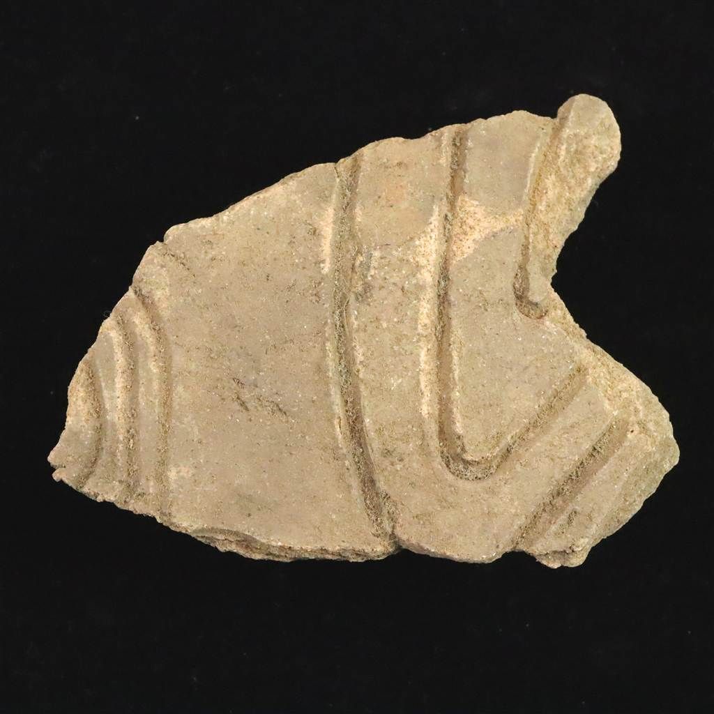 縄文土器 縄文中期 東北 北海道地域 90mm陶片 64.9g 榎本通商47823