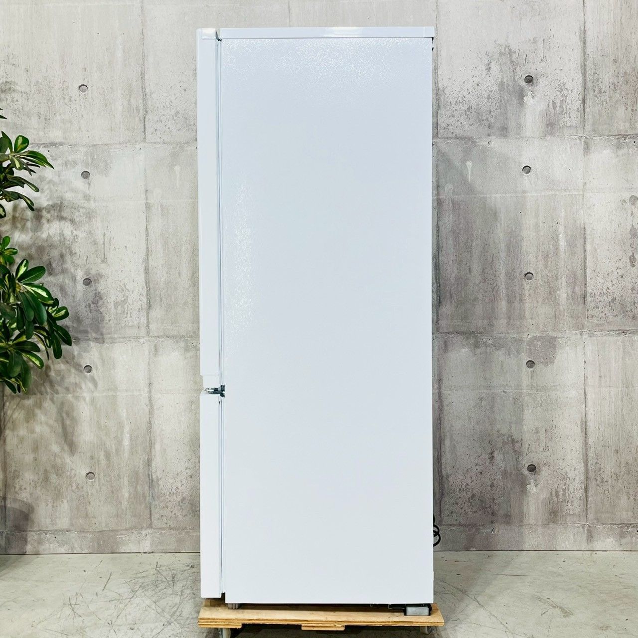 ️TOSHIBA a 4289 2ドア冷蔵庫 170 L 製 12.5 ️