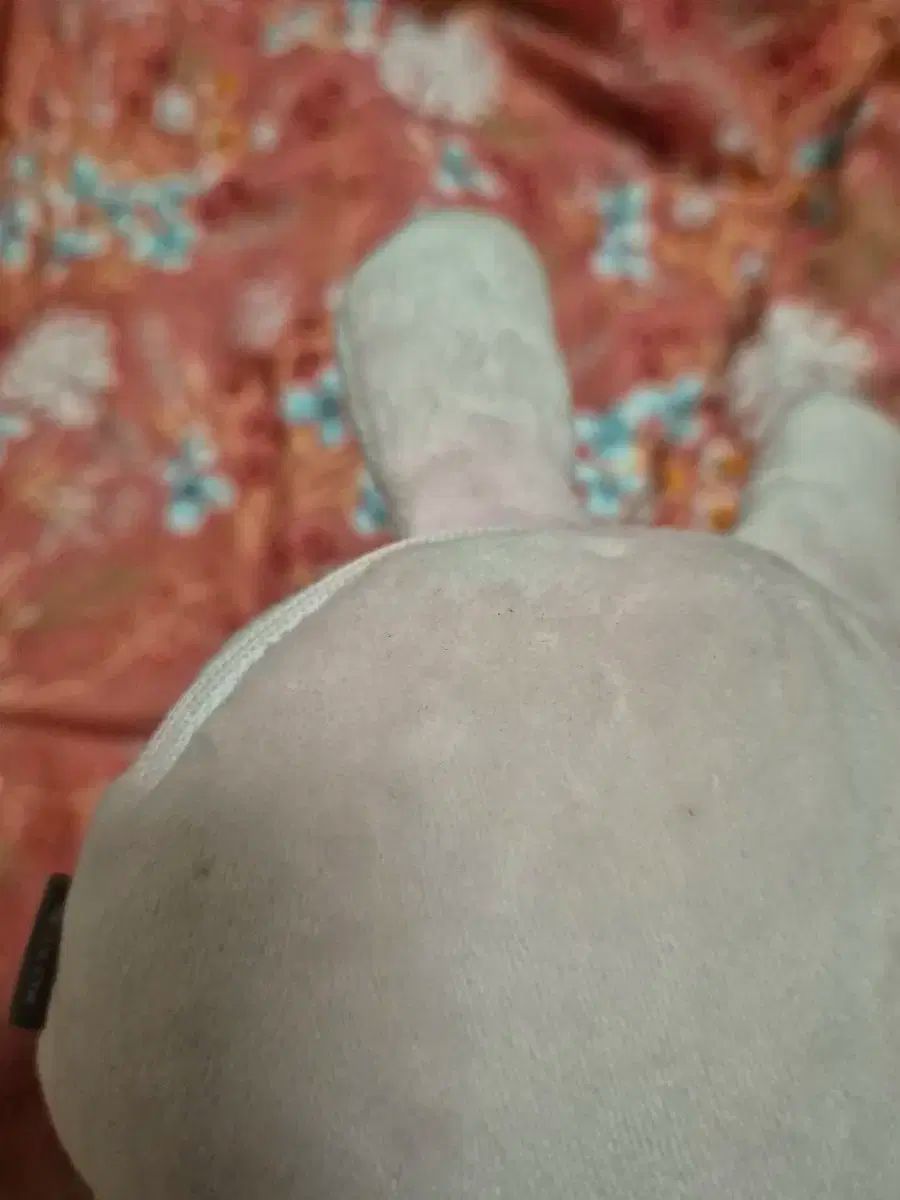 DAY6（デイシックス） 19周年コンサート プレゼントコンサート