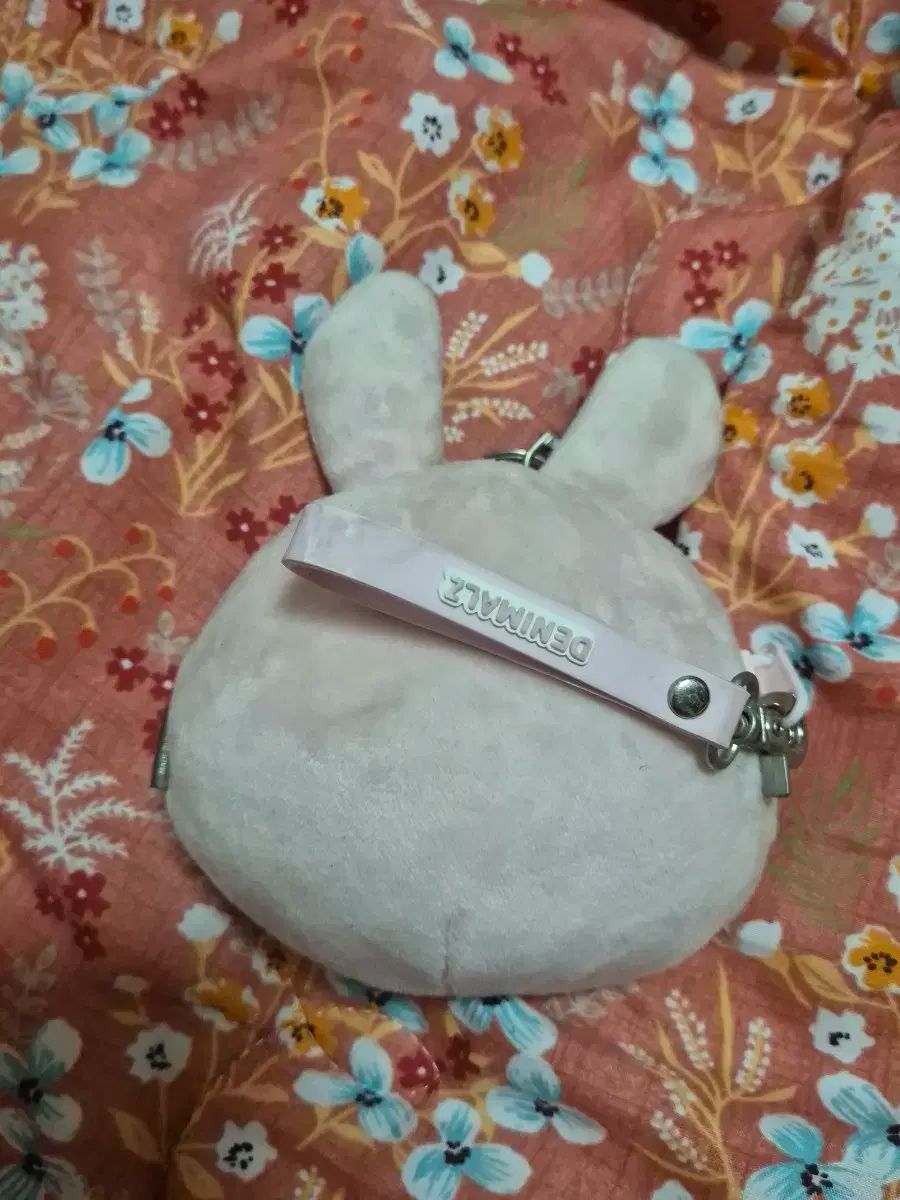 DAY6（デイシックス） 19周年コンサート プレゼントコンサート