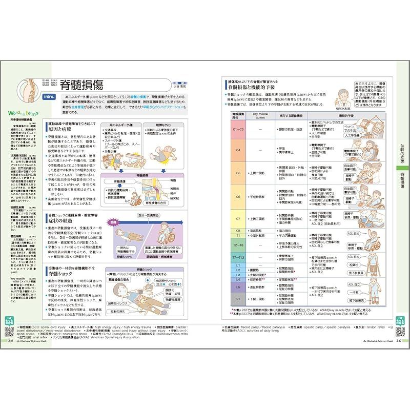 本 病気がみえる vol.11 運動器・整形外科 第2版 1