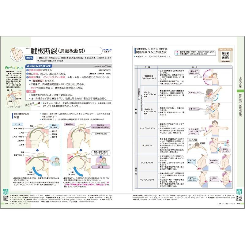 本 病気がみえる vol.11 運動器・整形外科 第2版 1