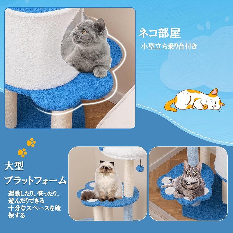 多頭飼い 運動不足解消