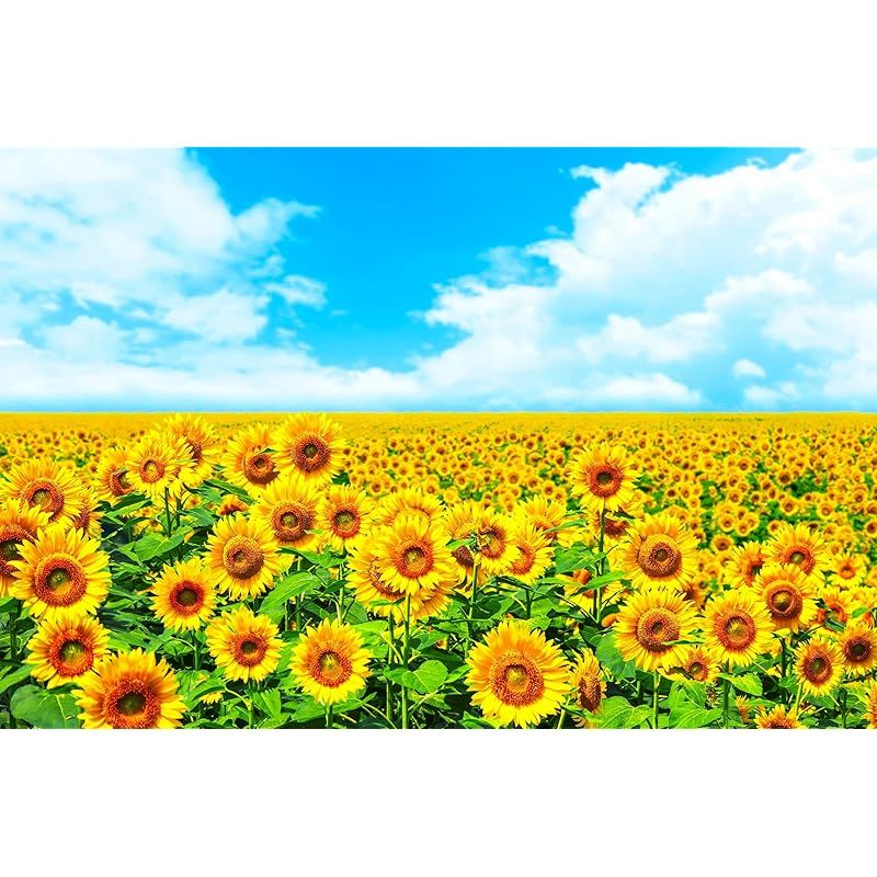 No.29103106 銅版画 「VUE DU PALAIS ROYAL」