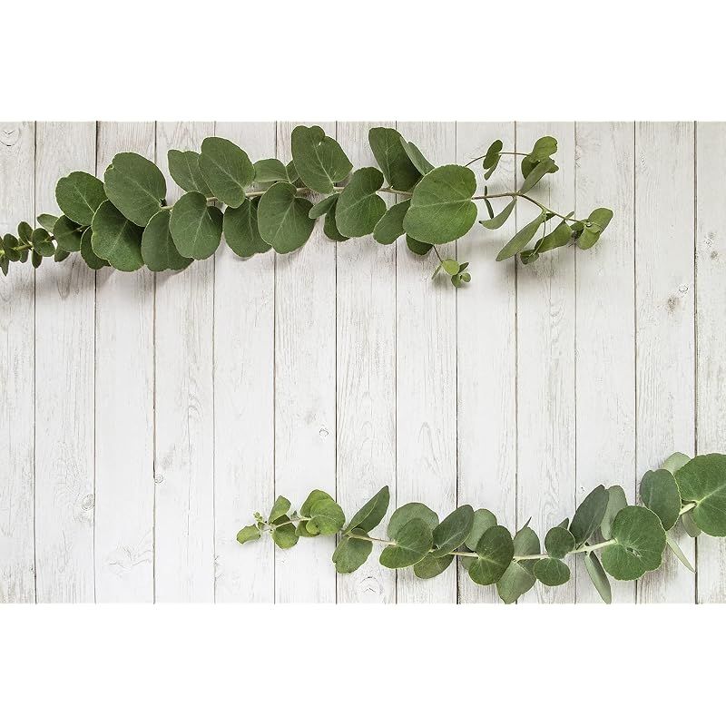 スノー様 Yamaha AG03 + Beats EP 宅録セット