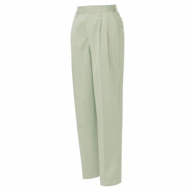 種類27：007サックス/4L(+330円） AZ-5323 アイトス レディース