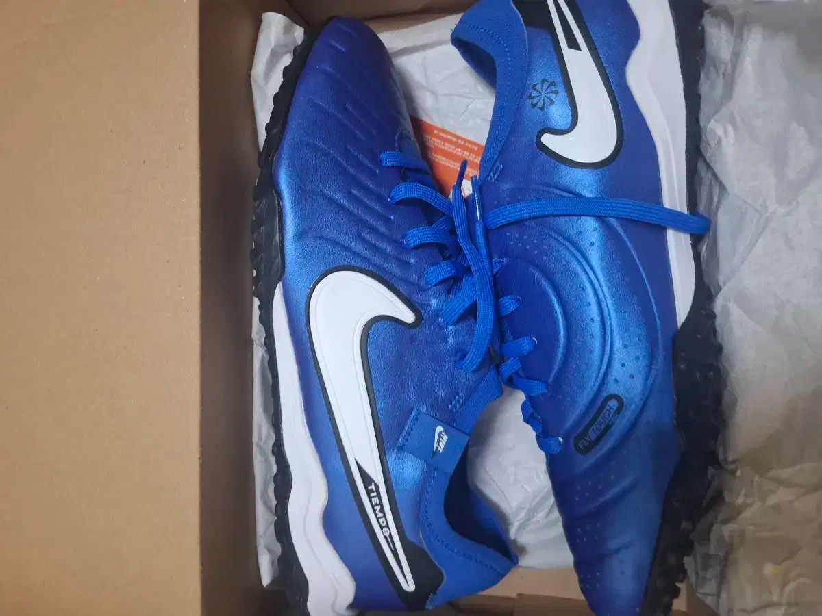 カール・Th・ドライヤーコレクション 吸血鬼 ボローニャ復元版 [DVD