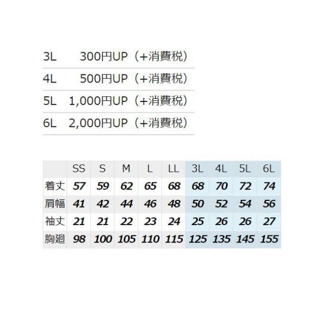 種類18：004グレー/85 AZ-6544 アイトス カーゴパンツ（2タック