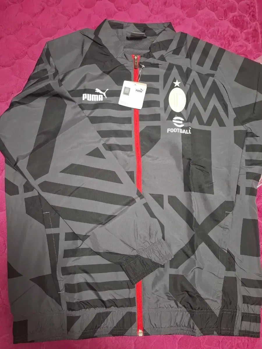 アレッシィ alessi ジネーヴラ Ginevra エットーレ・ソットサス ペア