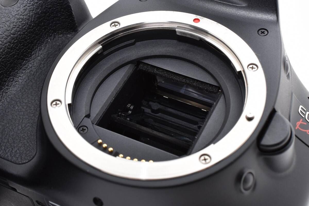 PENTAX K-x ホワイト シャッター約7500回 ※撮影時に汚れ写りあり 赤城