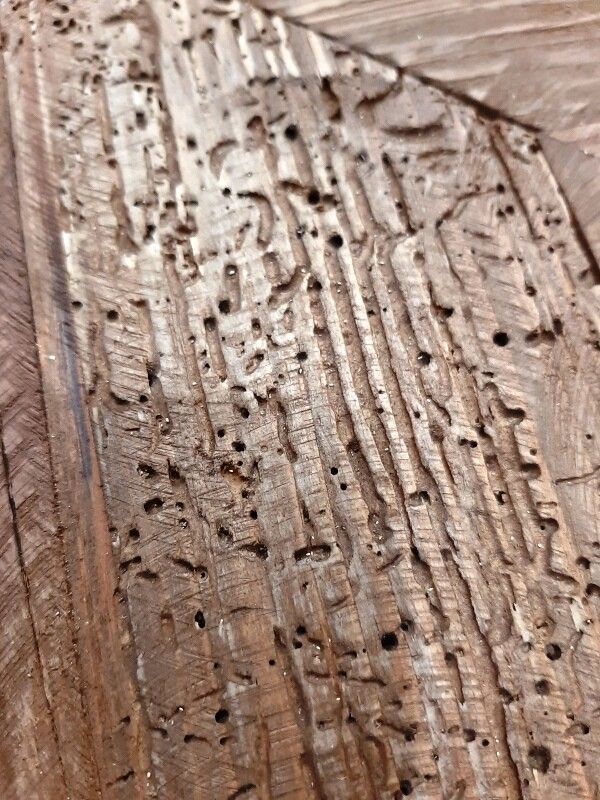 幅210cm テレビボード