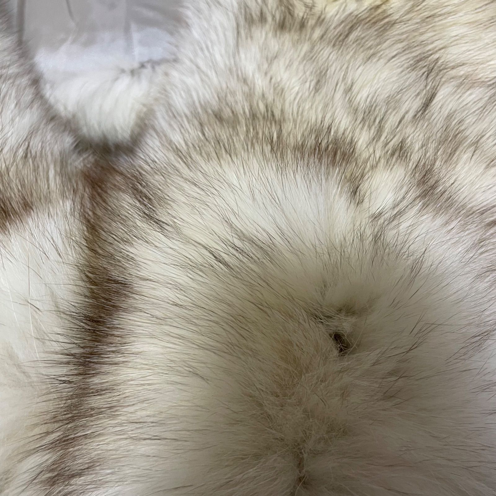 RE259【美品】SAGA FOX TRIM BESATZ GARNITURE リアルファー ショール