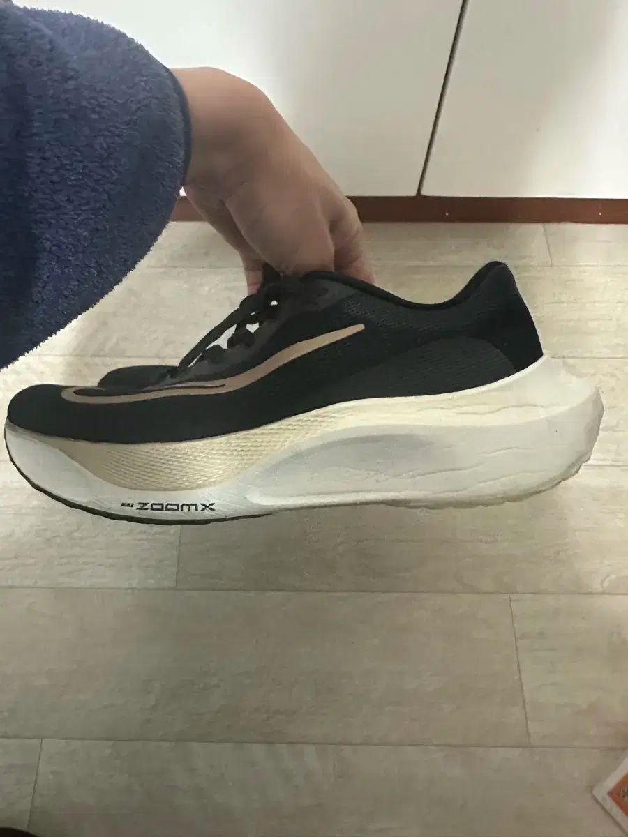 ナイキ ズームフライ