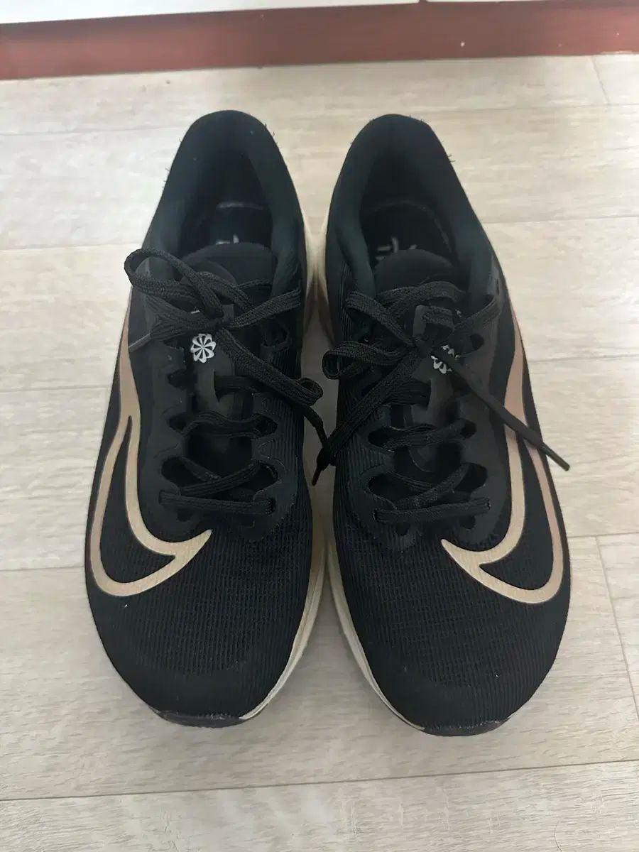 ナイキ ズームフライ 5 ランニングシューズ 255