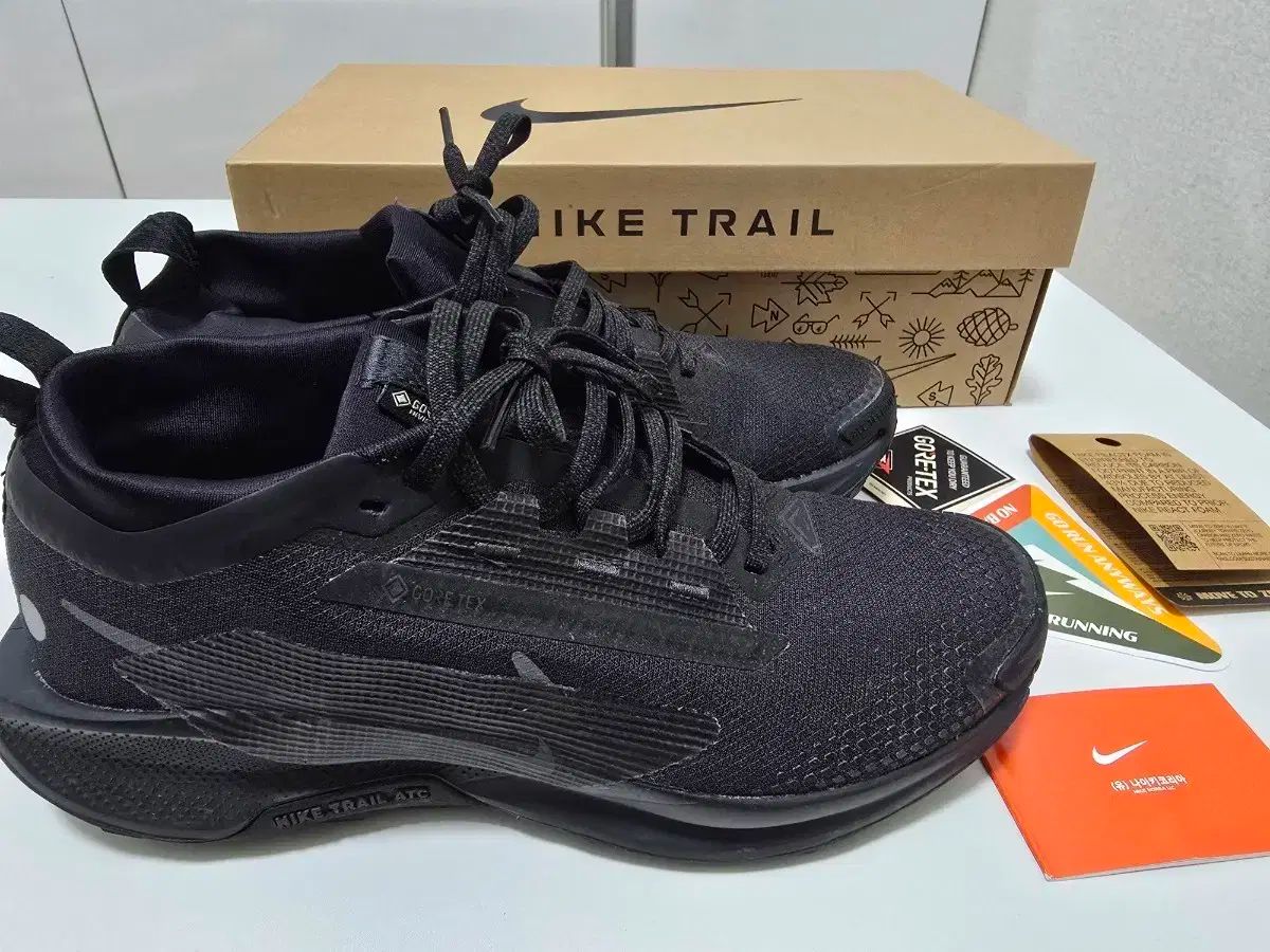 ナイキ ペガサス トレイル5 GORE-TEX ブラック スニーカー ほぼ